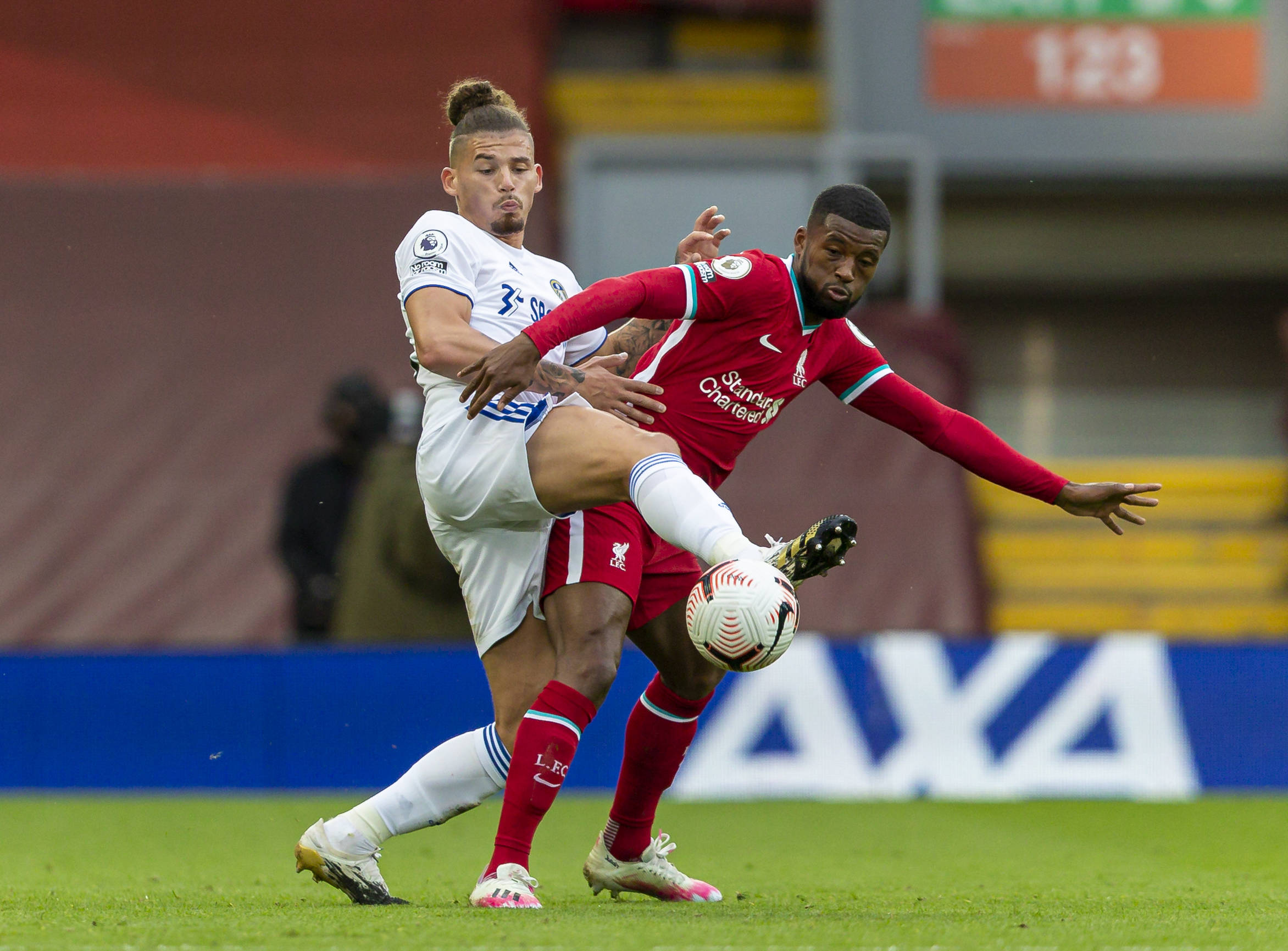 他们不仅肩 他们不仅肩